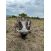 Wildcrete Warthog Vital